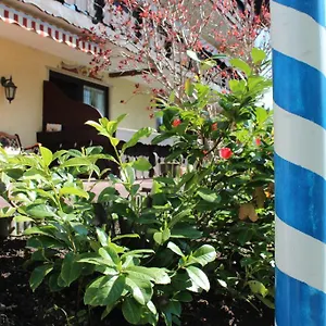 Birkenhof Mit Herz Maison d'hôtes Pfronten